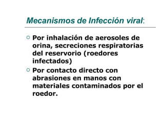 Mecanismos de Infección viral : Por inhalación de aerosoles de orina, secreciones respiratorias del reservorio (roedores infectados) Por contacto directo con abrasiones en manos con materiales contaminados por el roedor. 
