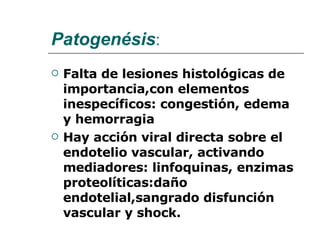 Patogenésis : Falta de lesiones histológicas de importancia,con elementos inespecíficos: congestión, edema y hemorragia Hay acción viral directa sobre el endotelio vascular, activando mediadores: linfoquinas, enzimas proteolíticas:daño endotelial,sangrado disfunción vascular y shock. 