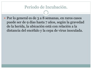 Periodo de Incubación.
 Por lo general es de 3 a 8 semanas, en raros casos
puede ser de 9 días hasta 7 años, según la gravedad
de la herida, la ubicación está con relación a la
distancia del encéfalo y la cepa de virus inoculada.
 