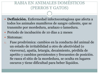 RABIA EN ANIMALES DOMÉSTICOS
(PERROS Y GATOS)
 Definición. Enfermedad infectocontagiosa que afecta a
todos los animales mamíferos de sangre caliente, que se
transmite por mordedura, arañazo o lamedura.
 Periodo de incubación de 10 días a 2 meses
 Síntomas:
1. Fase prodrómica: cambios en la conducta del animal de
un estado de irritabilidad a otro de afectividad (o
viceversa), apatía, letargia, decaimiento, pérdida de
apetito y cambios persistentes y frecuentes de posición.
Se rasca el sitio de la mordedura, se oculta en lugares
oscuros y tiene dificultad para beber líquidos.
 