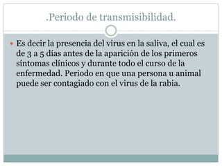 .Periodo de transmisibilidad.
 Es decir la presencia del virus en la saliva, el cual es
de 3 a 5 días antes de la aparición de los primeros
síntomas clínicos y durante todo el curso de la
enfermedad. Periodo en que una persona u animal
puede ser contagiado con el virus de la rabia.
 