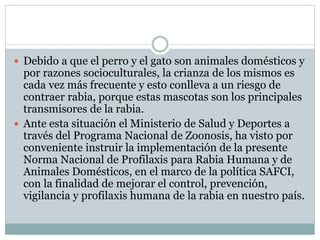  Debido a que el perro y el gato son animales domésticos y
por razones socioculturales, la crianza de los mismos es
cada vez más frecuente y esto conlleva a un riesgo de
contraer rabia, porque estas mascotas son los principales
transmisores de la rabia.
 Ante esta situación el Ministerio de Salud y Deportes a
través del Programa Nacional de Zoonosis, ha visto por
conveniente instruir la implementación de la presente
Norma Nacional de Profilaxis para Rabia Humana y de
Animales Domésticos, en el marco de la política SAFCI,
con la finalidad de mejorar el control, prevención,
vigilancia y profilaxis humana de la rabia en nuestro país.
 