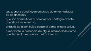 Las zoonosis constituyen un grupo de enfermedades
de los animales
que son transmitidas al hombre por contagio directo
con el animal enfermo,
a través de algún fluido corporal como orina o saliva,
o mediante la presencia de algún intermediario como
pueden ser los mosquitos u otros insectos.
 