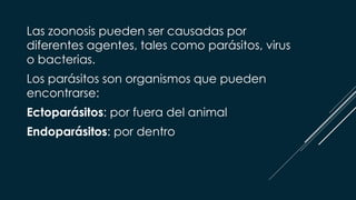 Las zoonosis pueden ser causadas por
diferentes agentes, tales como parásitos, virus
o bacterias.
Los parásitos son organismos que pueden
encontrarse:
Ectoparásitos: por fuera del animal
Endoparásitos: por dentro
 
