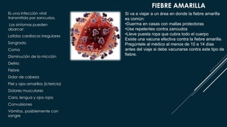 FIEBRE AMARILLA
Es una infección viral
transmitida por zancudos.
Los síntomas pueden
abarcar:
Latidos cardíacos irregulares
Sangrado
Coma
Disminución de la micción
Delirio
Fiebre
Dolor de cabeza
Piel y ojos amarillos (ictericia)
Dolores musculares
Cara, lengua y ojos rojos
Convulsiones
Vómitos, posiblemente con
sangre
Si va a viajar a un área en donde la fiebre amarilla
es común:
•Duerma en casas con mallas protectoras
•Use repelentes contra zancudos
•Lleve puesta ropa que cubra todo el cuerpo
Existe una vacuna efectiva contra la fiebre amarilla.
Pregúntele al médico al menos de 10 a 14 días
antes del viaje si debe vacunarse contra este tipo de
fiebre.
 