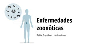Enfermedades
zoonóticas
Rabia, Brucelosis , Leptospirosis
 
