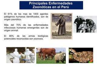 El 61% de los mas de 1400 agentes
patógenos humanos identificados, son de
origen zoonótico.
Más del 70% de las enfermedades
infecciosas humanas emergentes son de
origen animal.
El 80% de las armas biológicas
potenciales reconocidas son zoonosis.
Principales Enfermedades
Zoonóticas en el Perú
Influenza
 