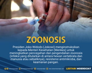 Presiden Joko Widodo (Jokowi) menginstruksikan
kepada Menteri Kesehatan (Menkes) untuk
meningkatkan pencegahan dan pengendalian zoonosis
(infeksi yang ditularkan di antara hewan vertebrata dan
manusia atau sebaliknya), resistensi antimikroba, dan
keamanan pangan.
ZOONOSIS
 