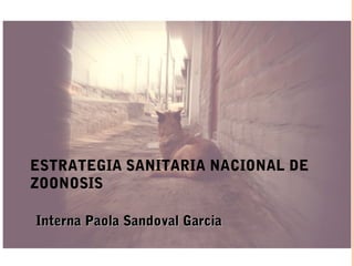 ESTRATEGIA SANITARIA NACIONAL DE
ZOONOSIS

Interna Paola Sandoval Garcia
 
