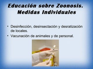 Educación sobre Zoonosis.  Medidas Individuales Desinfección, desinsectación y desratización de locales. Vacunación de animales y de personal. 