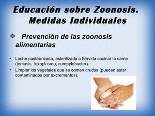 Educación sobre Zoonosis.  Medidas Individuales Prevención de las zoonosis alimentarias Leche pasteurizada, esterilizada o hervida cocinar la carne (teniasis, toxoplasma, campylobacter). Limpiar los vegetales que se coman crudos (pueden estar contaminados por excrementos). 