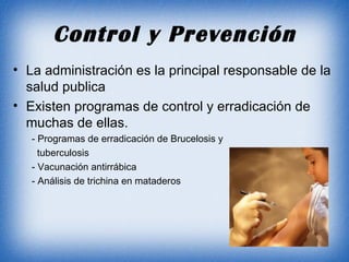 Control y Prevención La administración es la principal responsable de la salud publica Existen programas de control y erradicación de muchas de ellas. - Programas de erradicación de Brucelosis y  tuberculosis - Vacunación antirrábica - Análisis de trichina en mataderos 