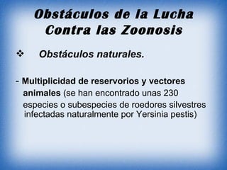 Obstáculos de la Lucha Contra las Zoonosis Obstáculos naturales. -  Multiplicidad de reservorios y vectores animales  (se han encontrado unas 230 especies o subespecies de roedores silvestres infectadas naturalmente por Yersinia pestis) 