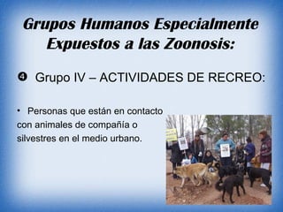 Grupo IV – ACTIVIDADES DE RECREO:  Personas que están en contacto  con animales de compañía o  silvestres en el medio urbano. Grupos Humanos Especialmente Expuestos a las Zoonosis: 