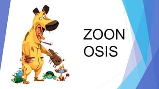 ZOON
OSIS
 