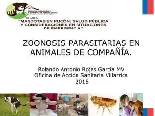 ZOONOSIS PARASITARIAS EN
ANIMALES DE COMPAÑÍA.
Rolando Antonio Rojas García MV
Oficina de Acción Sanitaria Villarrica
2015
 