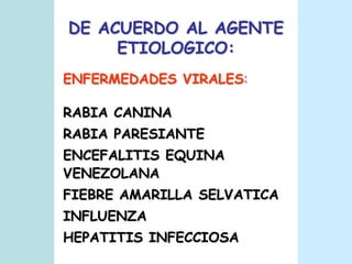 DE ACUERDO AL AGENTE ETIOLOGICO:ENFERMEDADES VIRALES:RABIA CANINARABIA PARESIANTEENCEFALITIS EQUINA VENEZOLANAFIEBRE AMARILLA SELVATICAINFLUENZAHEPATITIS INFECCIOSA
