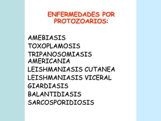 ENFERMEDADES POR PROTOZOARIOS:AMEBIASISTOXOPLAMOSISTRIPANOSOMIASIS AMERICANIALEISHMANIASIS CUTANEA LEISHMANIASIS VICERALGIARDIASISBALANTIDIASISSARCOSPORIDIOSIS