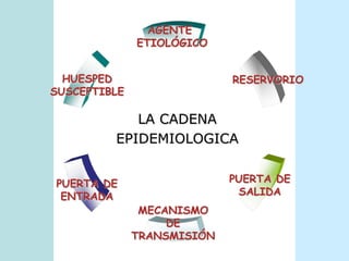 LA CADENAEPIDEMIOLOGICA