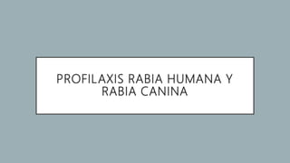 PROFILAXIS RABIA HUMANA Y
RABIA CANINA
 
