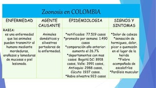 ENFERMEDAD AGENTE 
CAUSANTE 
EPIDEMIOLOGIA SIGNOS Y 
SINTOMAS 
RABIA: 
es una enfermedad 
que los animales 
pueden transmitir al 
humano mediante 
mordeduras, 
arañazos y lameduras 
de mucosas o piel 
lesionada. 
Animales 
domésticos y 
silvestres 
portadores de 
la enfermedad. 
*notificados: 77.519 casos 
*promedio por semana: 1.490 
casos 
*comparación año anterior: 
aumento el 26.7% 
*departamentos con mas 
casos: Bogotá DC: 8918 
casos, Valle: 3991 casos, 
Antioquia: 2988 casos, 
Cúcuta: 1937 casos. 
*Rabia silvestre:923 casos 
*Dolor de cabeza 
*sensación de 
hormigueo, dolor, 
picor o quemazón 
en el lugar de la 
herida 
*Fiebre 
acompañada de 
escalofríos 
*Parálisis muscular 
Zoonosis en COLOMBIA 
 