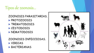 Tipos de zoonosis... 
ZOONOSIS PARASITARIAS. 
 PROTOZOOSIS 
 TREMATODOSIS 
 CESTODOSIS 
 NEMATODOSIS 
ZOONOSIS INFECCIOSAS. 
 VIRICAS 
 BACTERIANAS 
 