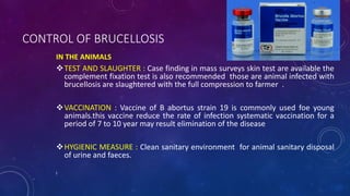 CONTROL OF BRUCELLOSIS
IN THE ANIMALS
TEST AND SLAUGHTER : Case finding in mass surveys skin test are available the
complement fixation test is also recommended those are animal infected with
brucellosis are slaughtered with the full compression to farmer .
VACCINATION : Vaccine of B abortus strain 19 is commonly used foe young
animals.this vaccine reduce the rate of infection systematic vaccination for a
period of 7 to 10 year may result elimination of the disease
HYGIENIC MEASURE : Clean sanitary environment for animal sanitary disposal
of urine and faeces.
I
 