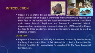 INTRODUCTION
• Plague is a zoonotic disease caused by highly virulent bacteria Yersinia
pestis. Distribution of plague is worldwide maintained by wild rodents and
their fleas in the natural foci and localized infection. Disease takes three
main forms: Bubonic, Septicemic and Pneumonic. Untreated bubonic
plague can lead to secondary pneumonic stage with 100% mortality. Plague
has lead to three pandemics. Yersinia pestis bacteria can also be used as
biological weapon.
DEFINITION
• Plague Is A Primarily And Basically A Zoonoses , Caused By Yersinia Pestis
Involving Rodents And Fleas .It Exit Natural Foci , And Is Transmitted By
Infected Flea Bites To Human Living Or Intruding Into The Some Ecological
Environment .
 