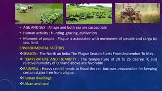 HOST
• AGE AND SEX :All age and both sex are susceptible
• Human activity : Hunting ,grazing ,cultivation
• Moment of people : Plague is associated with movement of people and cargo by
sea, land.
ENVIRONMENTAL FACTORS
SEASON : The North an India The Plague Season Starts From September To May .
 TEMPERATURE AND HUMIDITY : The temperature of 20 to 25 degree ◦C and
relative humidity of 60%and above are favorable .
RAINFALL : Heavy rainfall tends to flood the rat burrows .responsible for keeping
certain states free from plague .
Human dwellings
Urban and rural
 