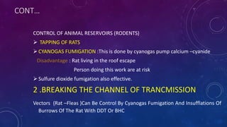 CONT…
CONTROL OF ANIMAL RESERVOIRS (RODENTS)
 TAPPING OF RATS
CYANOGAS FUMIGATION :This is done by cyanogas pump calcium –cyanide
Disadvantage : Rat living in the roof escape
Person doing this work are at risk
Sulfure dioxide fumigation also effective.
2 .BREAKING THE CHANNEL OF TRANCMISSION
Vectors (Rat –Fleas )Can Be Control By Cyanogas Fumigation And Insufflations Of
Burrows Of The Rat With DDT Or BHC
 