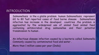 INTRODUCTION
• Salmonellosis is the a globle problem human Salmonellosis represent
60 to 80 %all reported cases of food borne disease . Salmonellosis
infection has increase in the developed countries .the problem is
aggravated by the widespread use of animal food animal feed
containing antimicrobial drug salmonellae and their potential
transmission to human .
• An infectious disease infection caused by a bacteria called Salmonella
Commonly caused by contaminated food and water .
• More than 1 million cases per year (India)
 