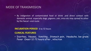 MODE OF TRANSMISSION
• By indigestion of contaminated food or drink .and direct contact with
domestic animal especially dogs ,pigeons ,rats ,mice etc may spread to other
by the faecal –oral route
INCUBATION PERIOD 6 to 72 hours
CLINICAL FEATURES
• Diarrhea, Nausea, Vomiting , Stomach pain, Headache, low grade
Fever Onset 12-72 hours after , infection
 
