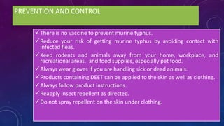 PREVENTION AND CONTROL
There is no vaccine to prevent murine typhus.
Reduce your risk of getting murine typhus by avoiding contact with
infected fleas.
Keep rodents and animals away from your home, workplace, and
recreational areas. and food supplies, especially pet food.
Always wear gloves if you are handling sick or dead animals.
Products containing DEET can be applied to the skin as well as clothing.
Always follow product instructions.
Reapply insect repellent as directed.
Do not spray repellent on the skin under clothing.
 