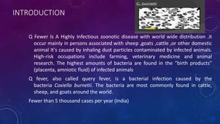 INTRODUCTION
Q Fewer Is A Highly Infectious zoonotic disease with world wide distribution .it
occur mainly in persons associated with sheep ,goats ,cattle ,or other domestic
animal It's caused by inhaling dust particles contaminated by infected animals.
High-risk occupations include farming, veterinary medicine and animal
research. The highest amounts of bacteria are found in the "birth products"
(placenta, amniotic fluid) of infected animals
Q fever, also called query fever, is a bacterial infection caused by the
bacteria Coxiella burnetii. The bacteria are most commonly found in cattle,
sheep, and goats around the world.
Fewer than 5 thousand cases per year (India)
 