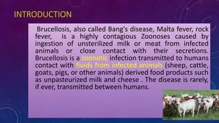 INTRODUCTION
Brucellosis, also called Bang's disease, Malta fever, rock
fever, is a highly contagious Zoonoses caused by
ingestion of unsterilized milk or meat from infected
animals or close contact with their secretions.
Brucellosis is a zoonotic infection transmitted to humans
contact with fluids from infected animals (sheep, cattle,
goats, pigs, or other animals) derived food products such
as unpasteurized milk and cheese . The disease is rarely,
if ever, transmitted between humans.
 