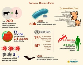 Zoonotic diseases facts | Urban dale Pet Hospital and Resort | Urbandale Pet Hospital and Resort  