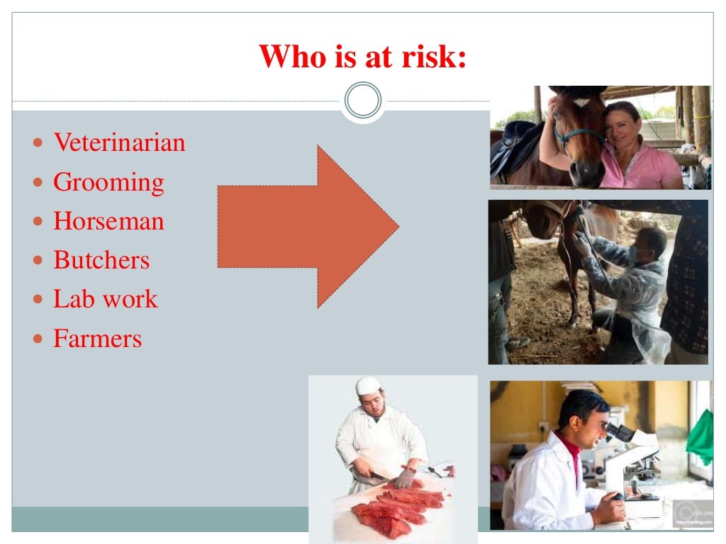 Important Zoonotic disease and its prevention and control By Dr.Mano…