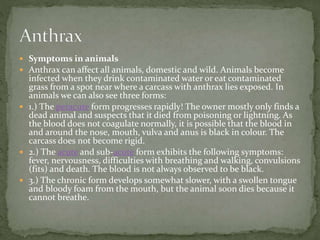  Symptoms in animals
 Anthrax can affect all animals, domestic and wild. Animals become
infected when they drink contaminated water or eat contaminated
grass from a spot near where a carcass with anthrax lies exposed. In
animals we can also see three forms:
 1.) The peracute form progresses rapidly! The owner mostly only finds a
dead animal and suspects that it died from poisoning or lightning. As
the blood does not coagulate normally, it is possible that the blood in
and around the nose, mouth, vulva and anus is black in colour. The
carcass does not become rigid.
 2.) The acute and sub-acute form exhibits the following symptoms:
fever, nervousness, difficulties with breathing and walking, convulsions
(fits) and death. The blood is not always observed to be black.
 3.) The chronic form develops somewhat slower, with a swollen tongue
and bloody foam from the mouth, but the animal soon dies because it
cannot breathe.
 