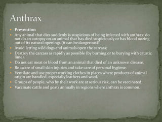  Prevention
 Any animal that dies suddenly is suspicious of being infected with anthrax: do
not do an autopsy on an animal that has died suspiciously or has blood oozing
out of its natural openings (it can be dangerous)!!
 Avoid letting wild dogs and animals open the carcass;
 Destroy the carcass as rapidly as possible (by burning or to burying with caustic
lime).
 Do not eat meat or blood from an animal that died of an unknown disease.
 Be aware of small skin injuries and take care of personal hygiene.
 Ventilate and use proper working clothes in places where products of animal
origin are handled, especially leathers and wool.
 Groups of people, who by their work are at serious risk, can be vaccinated.
 Vaccinate cattle and goats annually in regions where anthrax is common.
 