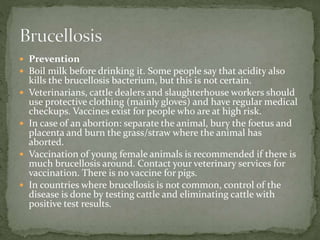  Prevention
 Boil milk before drinking it. Some people say that acidity also
kills the brucellosis bacterium, but this is not certain.
 Veterinarians, cattle dealers and slaughterhouse workers should
use protective clothing (mainly gloves) and have regular medical
checkups. Vaccines exist for people who are at high risk.
 In case of an abortion: separate the animal, bury the foetus and
placenta and burn the grass/straw where the animal has
aborted.
 Vaccination of young female animals is recommended if there is
much brucellosis around. Contact your veterinary services for
vaccination. There is no vaccine for pigs.
 In countries where brucellosis is not common, control of the
disease is done by testing cattle and eliminating cattle with
positive test results.
 