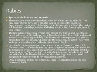  Symptoms in humans and animals
 The symptoms are more or less the same in both humans and animals. They
may occur after 10 days, but it can also take up to 10 months to appear,
depending on the location of the bite. If the bite was near the head, this period
will be closer to ten days, whereas if the bite was in a foot, for example, it could
take longer.
 The first symptoms are anxiety and pain around the bite wound. People also
mention headache. Soon the person will not be able to tolerate light and sound
and will start salivating profusely. The disease will cause spasms, paralysis and
difficulties with swallowing, which is why the disease is also called "water fear"
as the person - although very thirsty - is unable to drink.
 In animals, the symptoms are more or less the same. Dogs and cats exhibit
"furious rabies": the animals have the same symptoms as mentioned above, but
also become nervous, excited and aggressive. Ruminants and horses exhibit a
more quiet form, "dumb rabies": the animals become very timid and shy and
not excitable at all. The dumb form can also affect dogs, which is then extra
dangerous because people do not recognize it as rabies.
 Once a person or animal has symptoms, there is no treatment and the only
outcome is death!
 