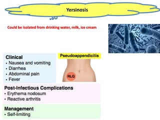 Yersinosis
Could be isolated from drinking water, milk, ice cream
 