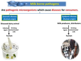 Milk borne pathogens
Are pathogenic microorganisms which cause diseases for consumers.
Zoonotic disease
(Animal origin)
Epidemic disease
(Human origin)
Diseased dairy animal
Infective
Agent
Drinking
contaminated
milk
human
Milk producers, distributors
Infective
Agent
Drinking
contaminated
milk
human
 