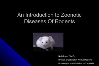 An Introduction to Zoonotic
Diseases Of Rodents

Neil Grove, RLATg
Division of Laboratory Animal Medicine
University of North Carolina – Chapel Hill

 