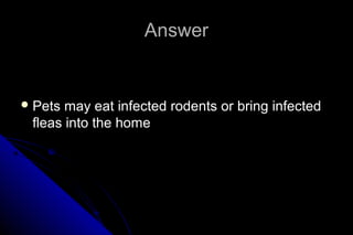Answer

 Pets

may eat infected rodents or bring infected
fleas into the home

 