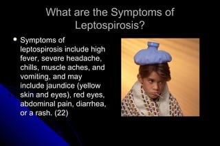 What are the Symptoms of
Leptospirosis?
 Symptoms

of
leptospirosis include high
fever, severe headache,
chills, muscle aches, and
vomiting, and may
include jaundice (yellow
skin and eyes), red eyes,
abdominal pain, diarrhea,
or a rash. (22)

 