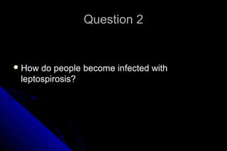 Question 2

 How

do people become infected with
leptospirosis?

 