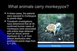 What animals carry monkeypox?




In these cases, the patients
were exposed to monkeypox
by prairie dogs.
Traceback investigations
have determined that all 35
confirmed human cases of
monkeypox were associated
with prairie dogs obtained
from an Illinois animal
distributor (IL-1), or from
animal distributors who
purchased prairie dogs from
IL-1 (24).
Prairie Dog

 