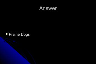 Answer

 Prairie

Dogs

 