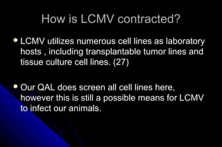 How is LCMV contracted?
 LCMV

utilizes numerous cell lines as laboratory
hosts , including transplantable tumor lines and
tissue culture cell lines. (27)

 Our

QAL does screen all cell lines here,
however this is still a possible means for LCMV
to infect our animals.

 